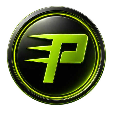 PlayDash logo